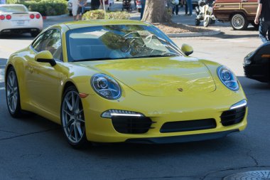 Porsche Carrera ekranda