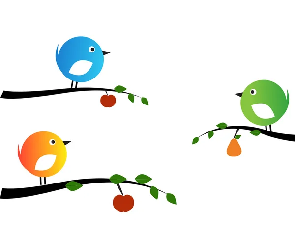 Aves y frutas — Vector de stock