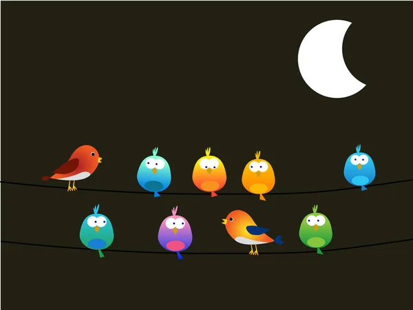 Birds at night — Stock Vector