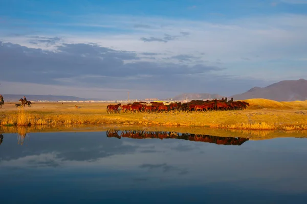 Parc National Sultansazligi Mont Erciyes Kayseri Turquie — Photo