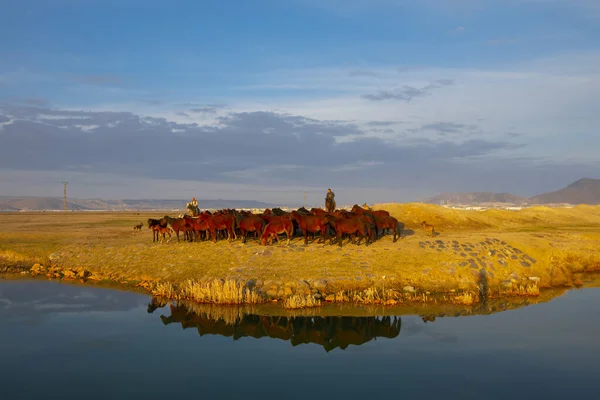 Sultan Sazligi National Park Mount Erciyes Kayseri Turkey — 图库照片