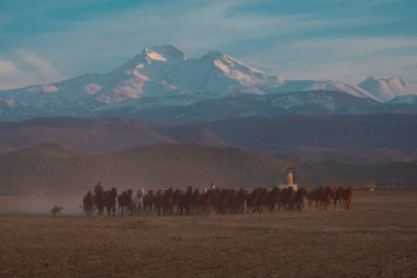 Büyük Erciyes dağı ve vahşi atlar. / Kayseri - Türkiye