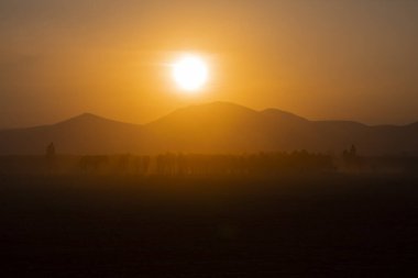 Yıllık atlar gün batımına yakın ve manzara