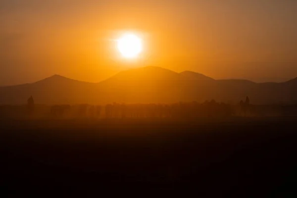 日没と景観の近くの年馬 — ストック写真