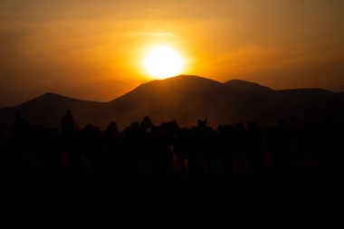Dağ silueti ve Vahşi Yıl atları,