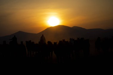 Dağ silueti ve Vahşi Yıl atları,