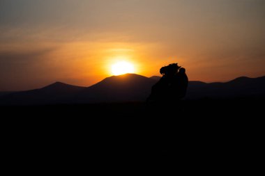 Dağ silueti ve Vahşi Yıl atları,