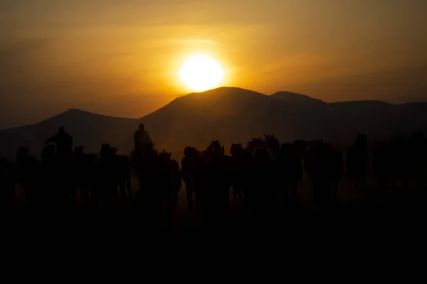 Silhueta Montanha Cavalos Ano Selvagem — Fotografia de Stock