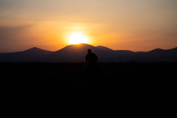 Silhouette Montagna Cavalli Dell Anno Selvaggio — Foto Stock