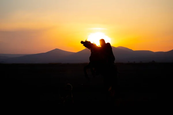 Mountain Silhouette Wild Year Horses — Stock Photo, Image