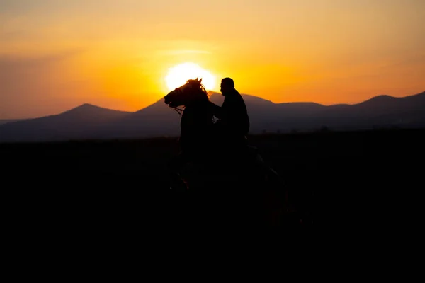 Mountain Silhouette Wild Year Horses — Stock Photo, Image