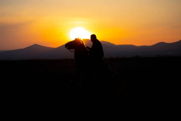 Bergsilhouette Und Wildjahrespferde — Stockfoto