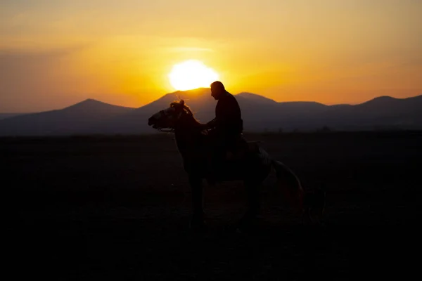 Mountain Silhouette Wild Year Horses — Stock Photo, Image