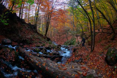 Seven Lakes Ulusal Parkı ve Sonbahar Peyzajı, Bolu / Türkiye - Bolu