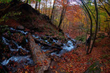 Seven Lakes Ulusal Parkı ve Sonbahar Peyzajı, Bolu / Türkiye - Bolu