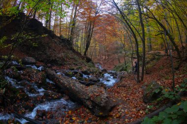 Seven Lakes Ulusal Parkı ve Sonbahar Peyzajı, Bolu / Türkiye - Bolu