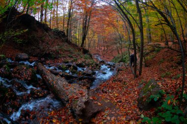 Seven Lakes Ulusal Parkı ve Sonbahar Peyzajı, Bolu / Türkiye - Bolu