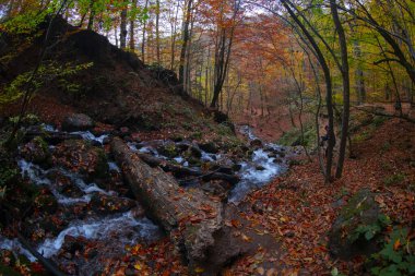 Seven Lakes Ulusal Parkı ve Sonbahar Peyzajı, Bolu / Türkiye - Bolu
