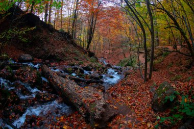 Seven Lakes Ulusal Parkı ve Sonbahar Peyzajı, Bolu / Türkiye - Bolu