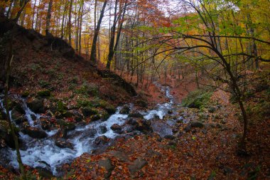 Seven Lakes Ulusal Parkı ve Sonbahar Peyzajı, Bolu / Türkiye - Bolu