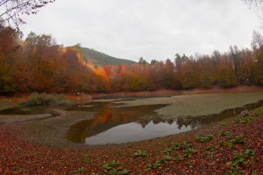 Seven Lakes Ulusal Parkı ve Sonbahar Peyzajı, Bolu / Türkiye - Bolu