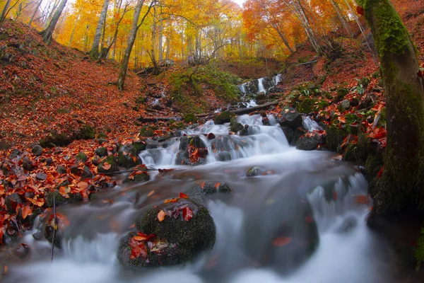 Seven Lakes National Park Fall Landscape Bolu Turquia Bolu — Fotografia de Stock