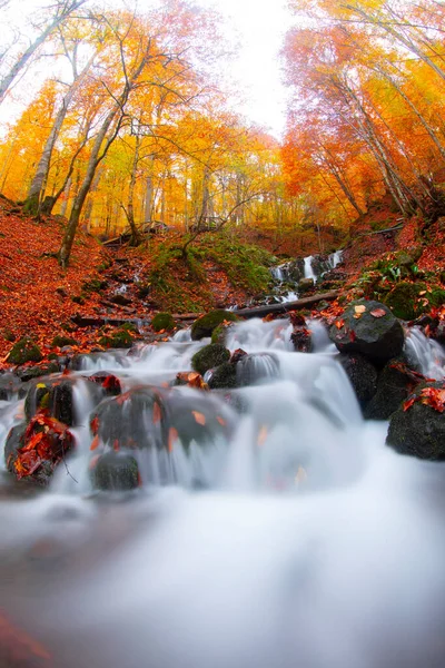 Parque Nacional Los Siete Lagos Paisaje Caída Bolu Turquía Bolu — Foto de Stock