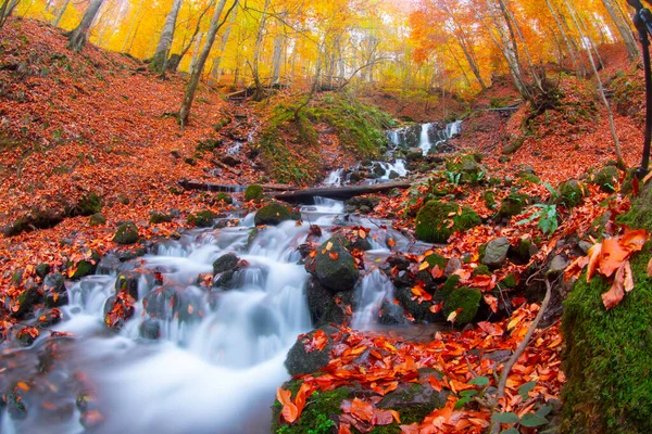 Seven Lakes National Park Fall Landscape Bolu Turkey Bolu — стокове фото