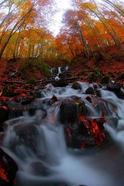 Seven Lakes National Park Fall Landscape Bolu Turkey Bolu — стокове фото