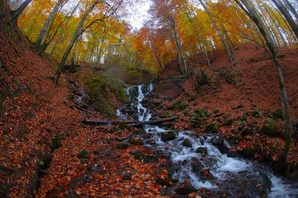 Seven Lakes National Park Fall Landscape Bolu Turquia Bolu — Fotografia de Stock