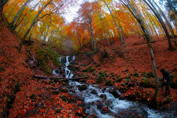 Nationaal Park Herfstlandschap Van Zeven Meren Bolu Turkije Bolu — Stockfoto