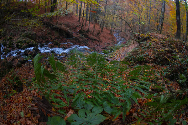 Seven Lakes National Park and Fall Landscape , Bolu / Turkey - Bolu