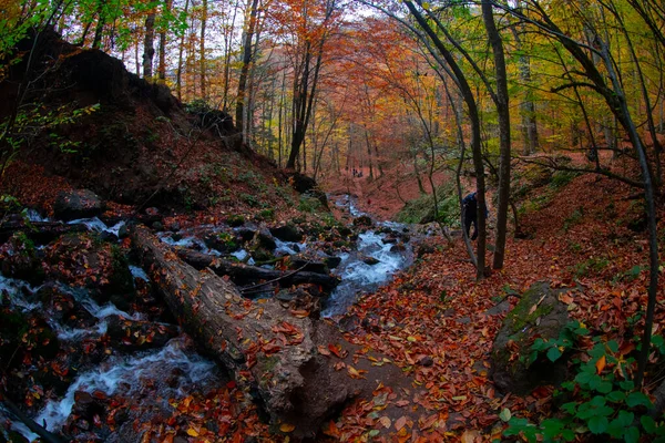 Sieben Seen Nationalpark Und Herbstlandschaft Bolu Türkei Bolu — Stockfoto