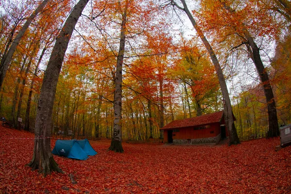 Parc National Des Sept Lacs Paysage Automnal Bolu Turquie Bolu — Photo