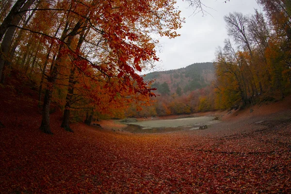 Parque Nacional Los Siete Lagos Paisaje Caída Bolu Turquía Bolu — Foto de Stock