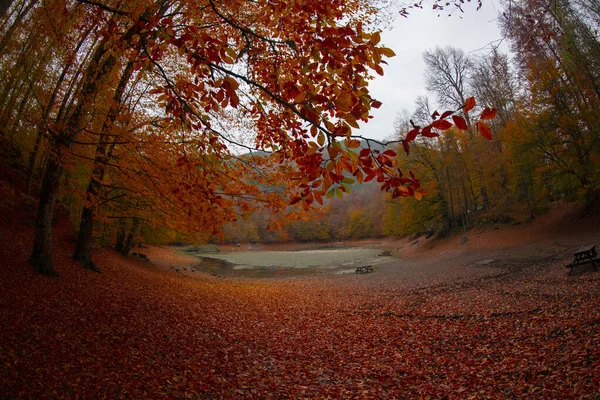 Sieben Seen Nationalpark Und Herbstlandschaft Bolu Türkei Bolu — Stockfoto