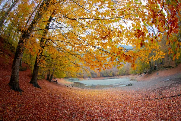 Seven Lakes National Park Fall Landscape Bolu Turquia Bolu — Fotografia de Stock