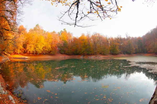 Hét Nemzeti Park Őszi Táj Bolu Törökország Bolu — Stock Fotó