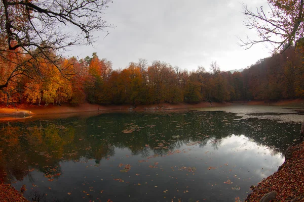 Parc National Des Sept Lacs Paysage Automnal Bolu Turquie Bolu — Photo