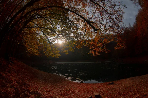 가을은 터키에서 아름다운 지대이다 — 스톡 사진