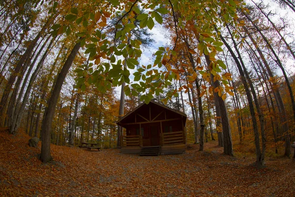 Los Bosques Más Bellos Turquía Parque Nacional Con Montón Yedigller — Foto de Stock