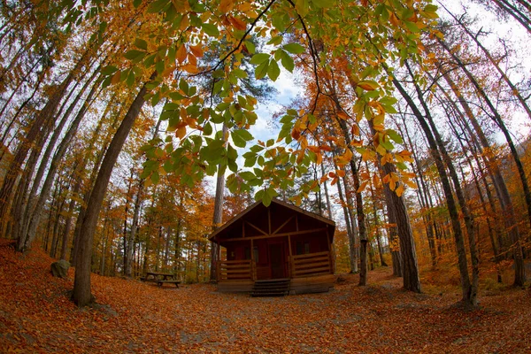 Los Bosques Más Bellos Turquía Parque Nacional Con Montón Yedigller — Foto de Stock