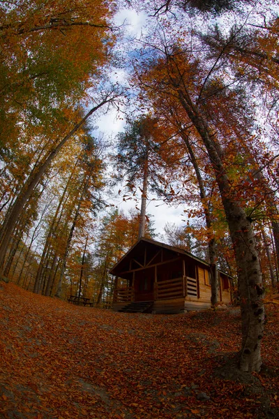 Los Bosques Más Bellos Turquía Parque Nacional Con Montón Yedigller — Foto de Stock