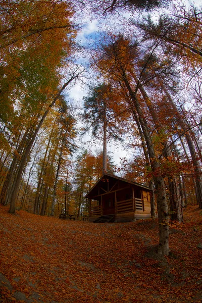 Los Bosques Más Bellos Turquía Parque Nacional Con Montón Yedigller — Foto de Stock