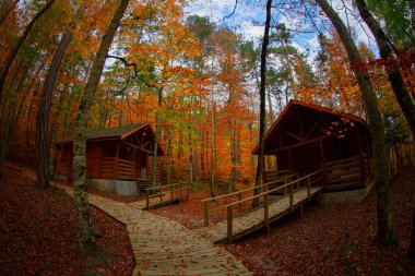Türkiye 'nin en güzel ormanları / Yedigller bolluğuyla ulusal parkı