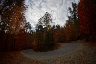 Yedinci Göller ve Manzara / Bolu - Türkiye 