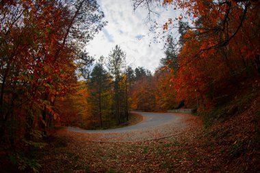 Yedinci Göller ve Manzara / Bolu - Türkiye 