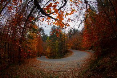 Yedinci Göller ve Manzara / Bolu - Türkiye 