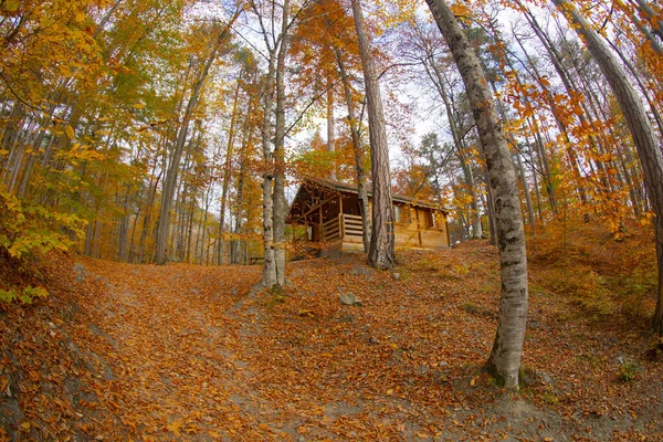 Nejkrásnější Turecké Lesy Národní Park Spoustou Yediglera — Stock fotografie