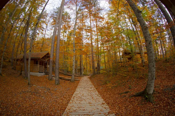 Los Bosques Más Bellos Turquía Parque Nacional Con Montón Yedigller — Foto de Stock